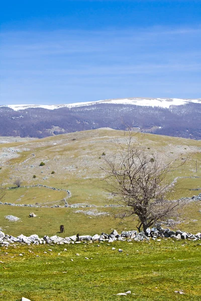 Beaux paysages sur Bjelasnica — Photo