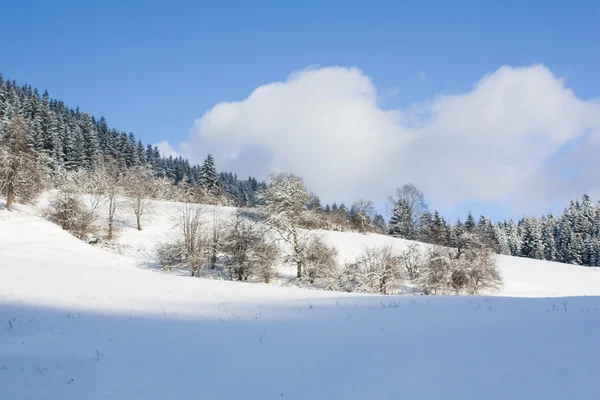 Krajobrazy zimowe — Zdjęcie stockowe