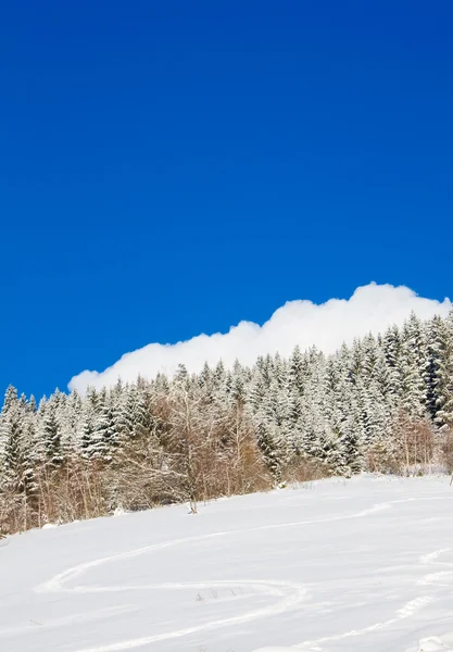 Winterlandschaften — Stockfoto