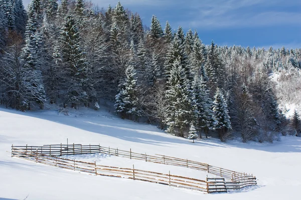 Winterlandschaften — Stockfoto
