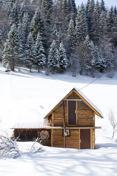 Kış manzaraları — Stok fotoğraf