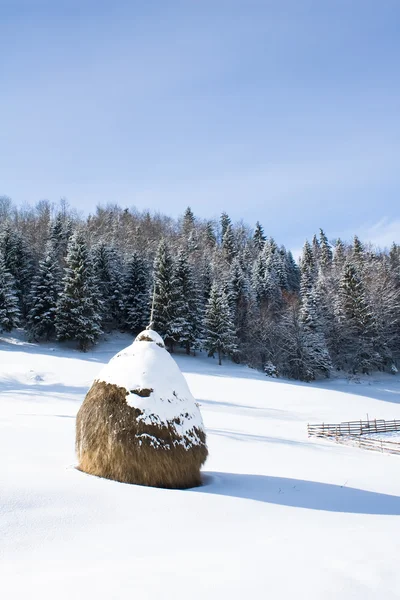 Peisaje de iarnă — Fotografie, imagine de stoc