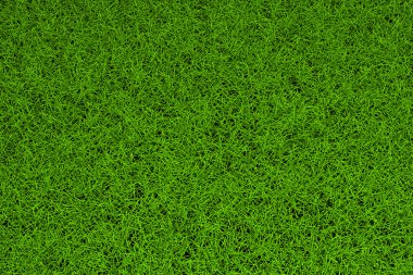 High resolution green grass background