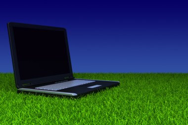 çimenlerin üzerinde boş bir ekran ile dizüstü bilgisayar
