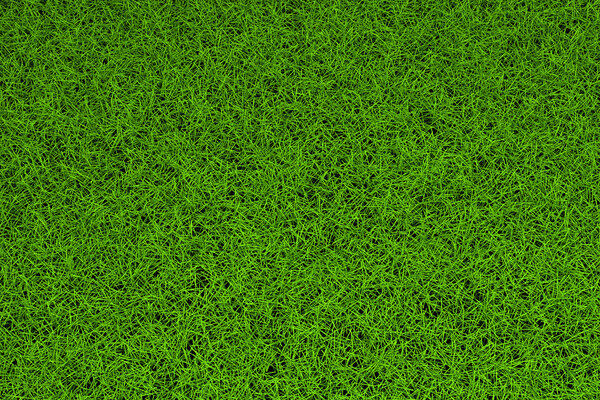 High resolution green grass background