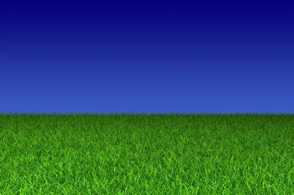 Blauwe lucht en groen grasveld — Stockfoto