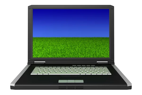 Φορητό υπολογιστή με χόρτο και ουρανό στην οθόνη — Φωτογραφία Αρχείου