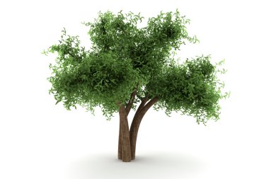 Tree isolated on white background clipart