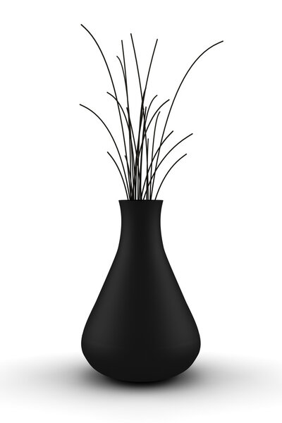 Black vase with dry wood isolated