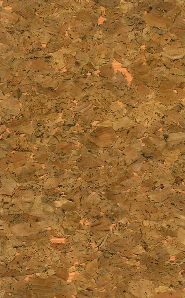 Yüksek çözünürlüklü mantar doku — Stok fotoğraf