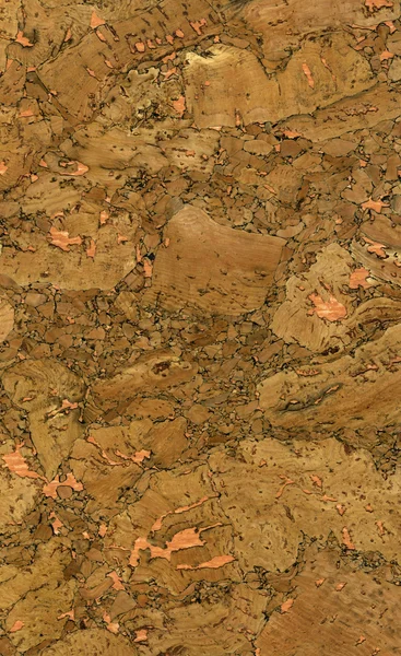 Yüksek çözünürlüklü mantar doku — Stok fotoğraf