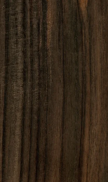 Textura de palisandro indio — Foto de Stock
