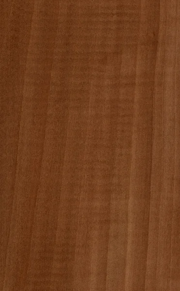Päron trä textur — Stockfoto