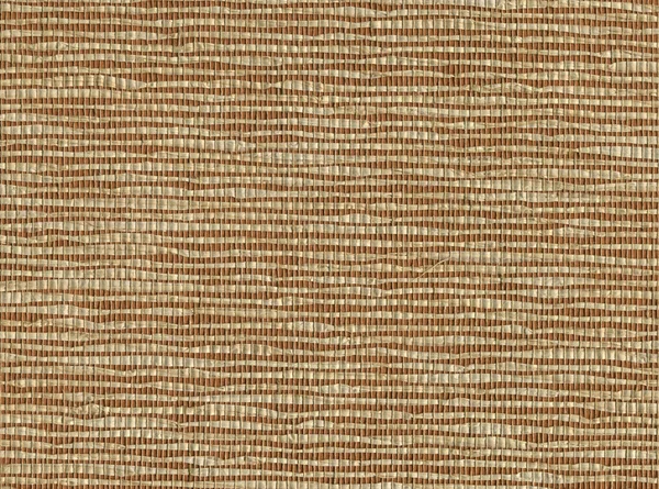 Wysokiej rozdzielczości bambusa tapeta tekstura — Zdjęcie stockowe