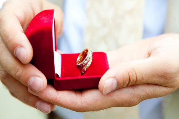 Wedding rings in hands Stock Image