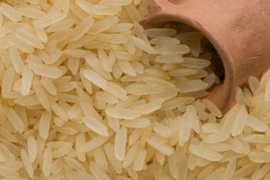 Rice clipart