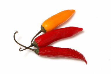 izole hot chilli peppers