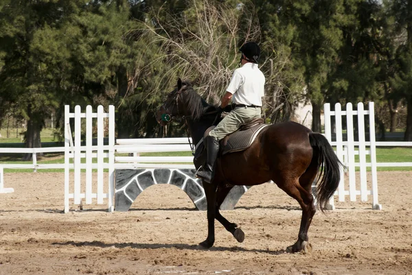 Ryttaren på en bay häst. Hippodromen — Stockfoto