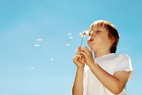 With dandelions in hands — Stock Photo, Image