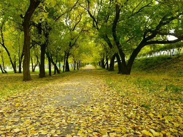 stock image Autumn