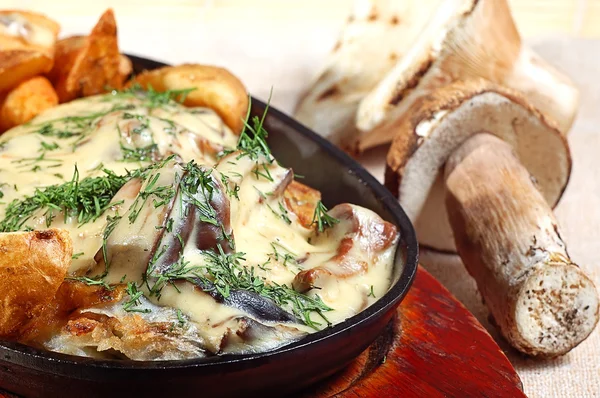 Stewed mushrooms — Stock Image Stewed mushrooms Stock Image