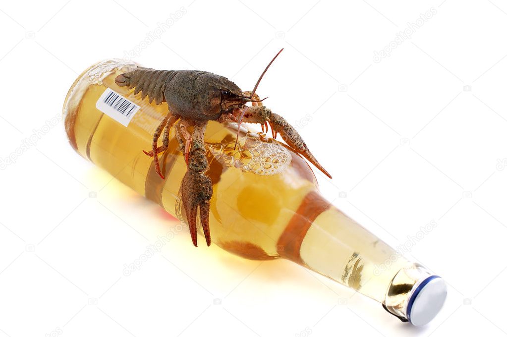 Lobster with beer