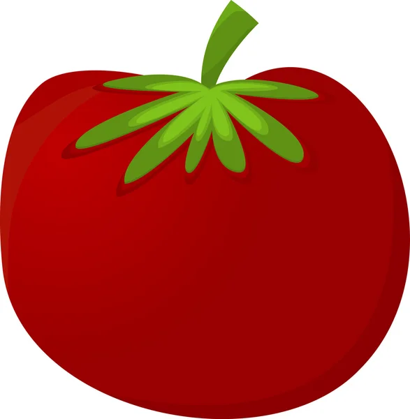 stock vector Red Tomato