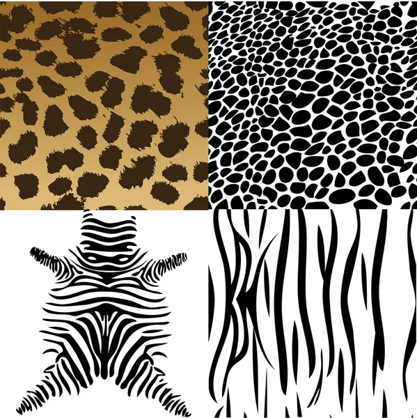 stock vector Animals skin.