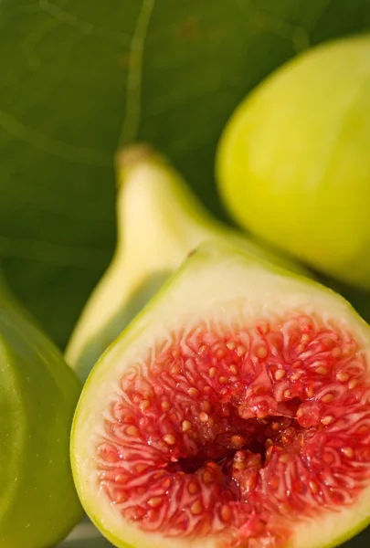 Fresh fig — Stock Photo, Image