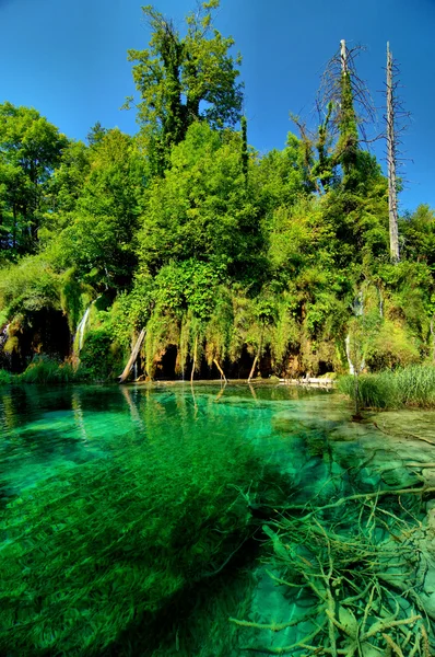 stock image National Park Plitvice