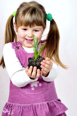 Small plant clipart