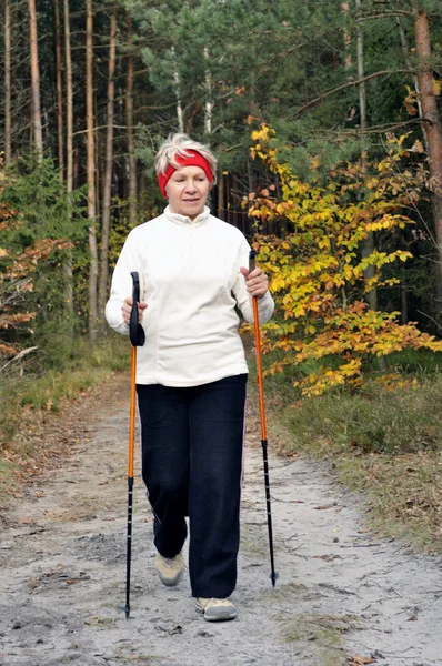 Nordic walking — Stock fotografie