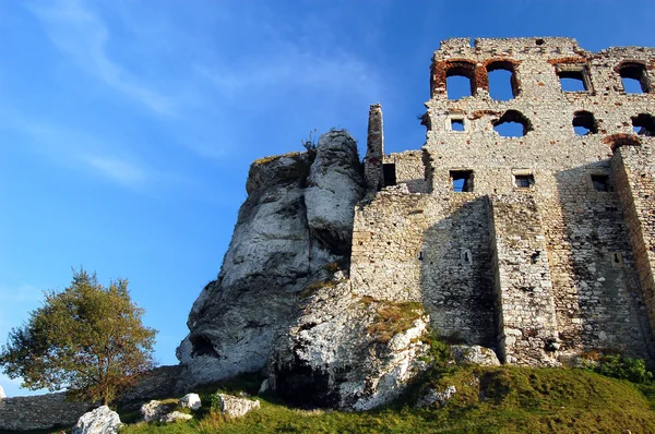 stock image Ruin castle