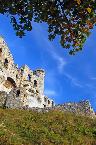 Ruin castle — Stock Photo, Image
