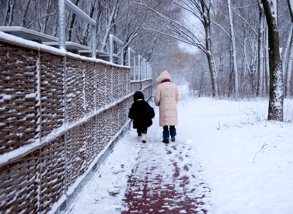 Winter walking — Stock Photo, Image