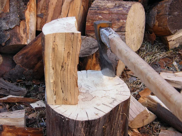 Log pump tree with axe — Stock Photo, Image