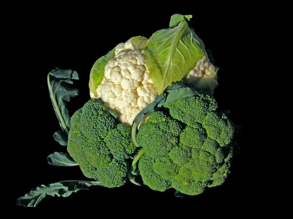 Broccoli and cauliflower — Stock Photo, Image