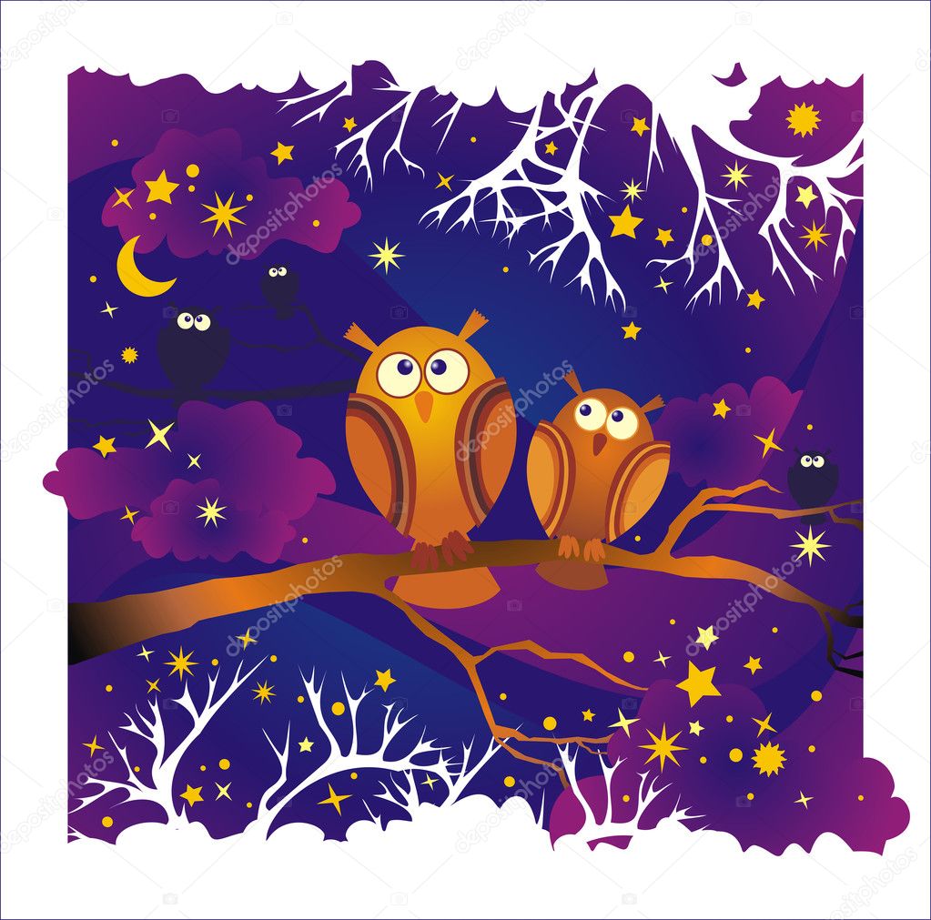 Vector night background with owls