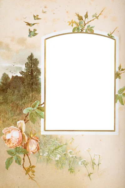 Page of old photo album — Stock Photo, Image