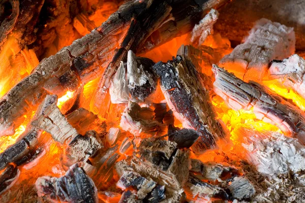 Api dengan kayu bakar dan arang — Stok Foto