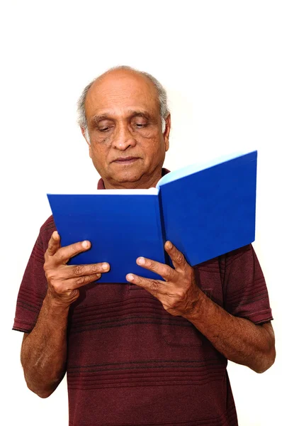 stock image Reading