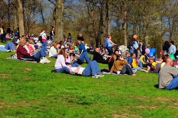 stock image Crowd