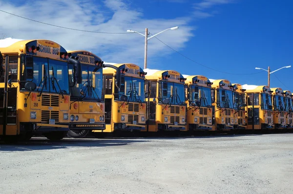 stock image School Bus