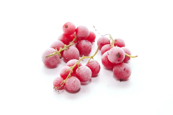 stock image Frozen red currants