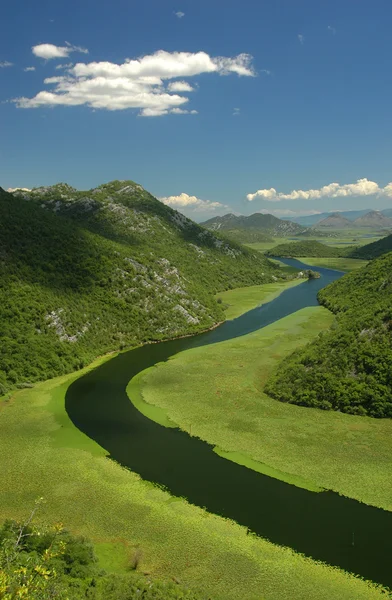 Rijeka Crnojevica — Stock Photo, Image
