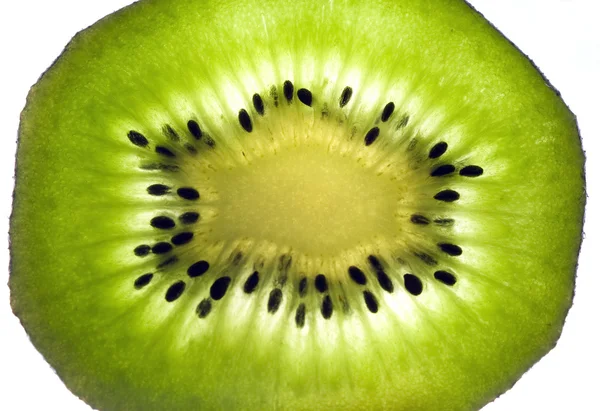 Zadní rozsocha sedla kiwi izolovaných na bílém — Stock fotografie