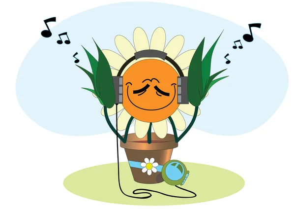Camomile in ear-phones — Stock Photo, Image