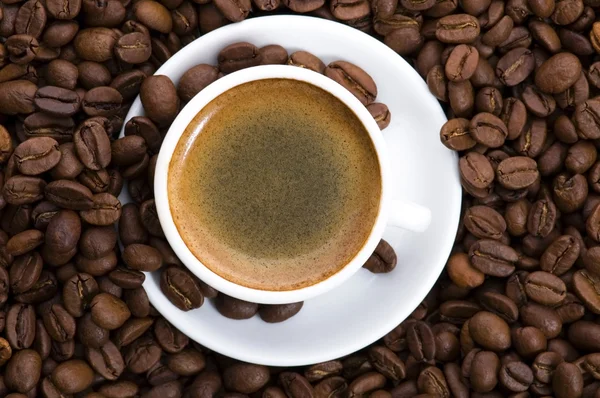 Caffè fresco — Foto Stock