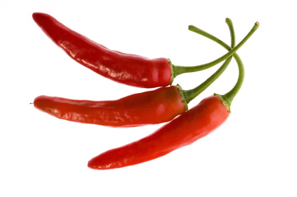 Pimentas vermelhas de pimenta quente isoladas em branco — Fotografia de Stock