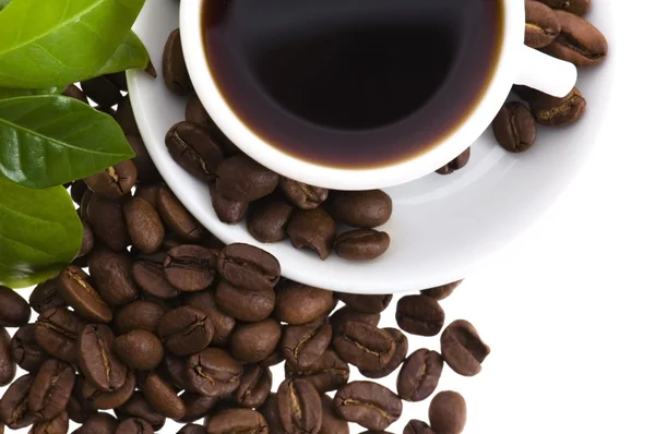 Fersk kaffe med kaffegren – stockfoto
